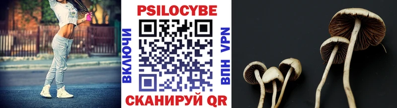 где продают наркотики  Кашин  Галлюциногенные грибы Cubensis 